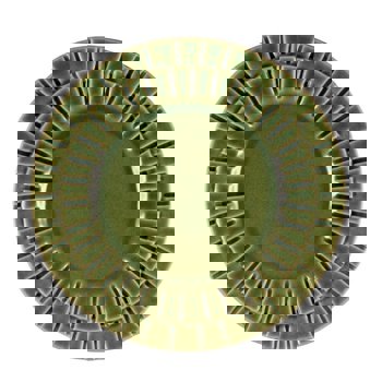 PIATTO FRUTTA 22,5 SEGMENTO VERDE